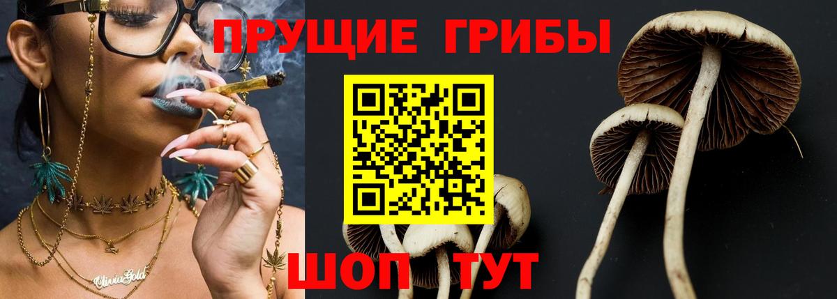 Комсомольск-на-Амуре  Галлюциногенные грибы Psilocybine cubensis  Вход с VPN 