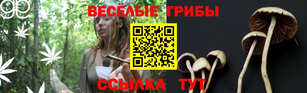 Галлюциногенные грибы мицелий Комсомольск-на-Амуре